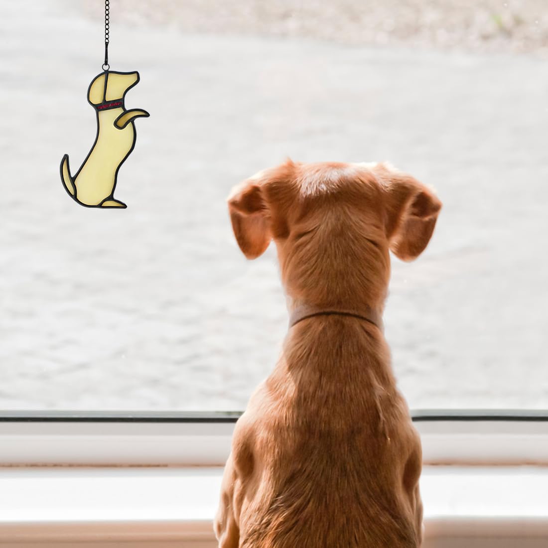 Boxcasa Dog Memorial Gifts Stained Glass Suncatcher,Unique Yellow Dog Themed Stained Glass Window Hanging,Loss Of Dog Sympathy G