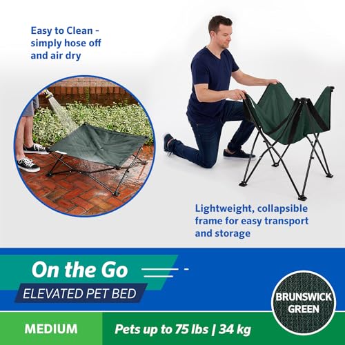 Coolaroo On The Go Pet Bed - Brunswick Green - Medium (30'' X 30'')