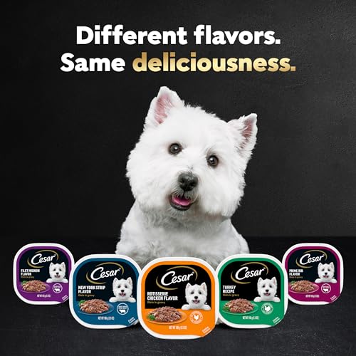 Cesar Filets in Gravy Adult Wet Dog Food, Poultry Lovers Multipack, 3.5 oz. (12 Count, Pack of 2)