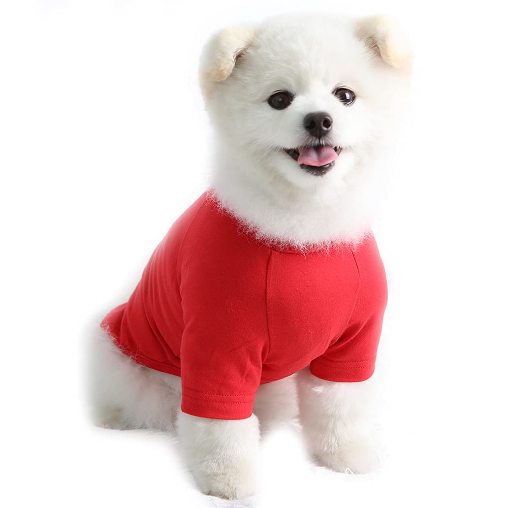 Lucky Petter Dog Shirt - Soft Breathable Cotton T-Shirt For Small Dogs (Medium, Red)