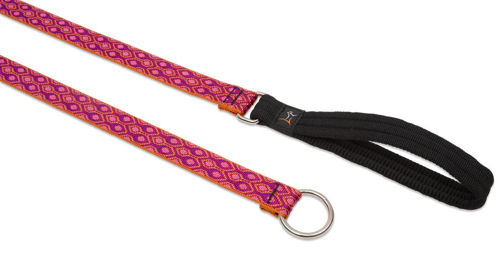 LupinePet Originals 1'' Alpen Glow 6-foot Slip Lead/Leash for Medium and Larger Dogs
