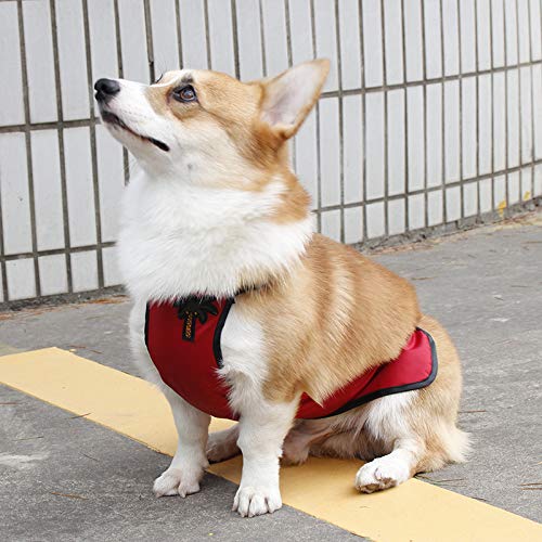 Kelendle Warm Pet Belly Vest - Dog Belly Cover Protector Harness - Waterproof Pet Costume for Short Leg Female Dogs & Puppies