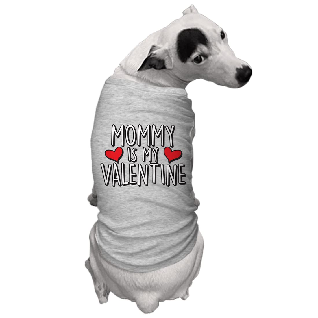 Tcombo Mommy Is My Valentine Dog Shirt (Light Gray, Large)