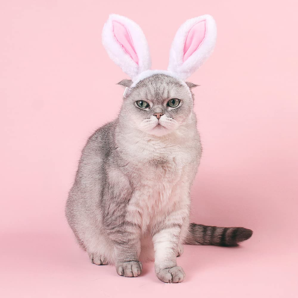 Aniac Easter Dog Headband For Small Medium Dog,Plush Dog Cat Hat With Bunny Ears, Cute Dog Head Accessories,Pet Easter Costume F