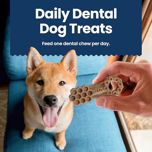Blue Buffalo Dental Chews Medium Dog Treats, Chicken & Spearmint - 34.5 oz (42 Count)