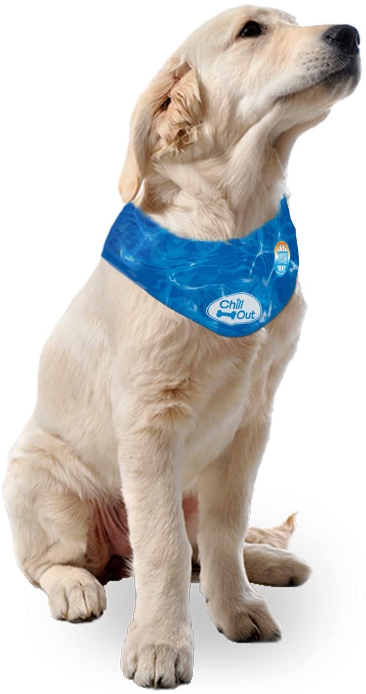 All For Paws Chill Out Ice Bandana, Large