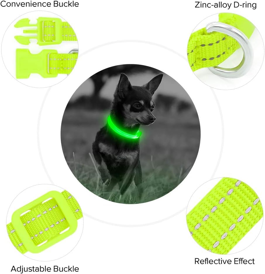 Bseen Light Up Dog Collars - Glowing Led Dog Collar Rechargeable Puppy Collar For Small Dogs & Cats, Safety Dog Lights For Night