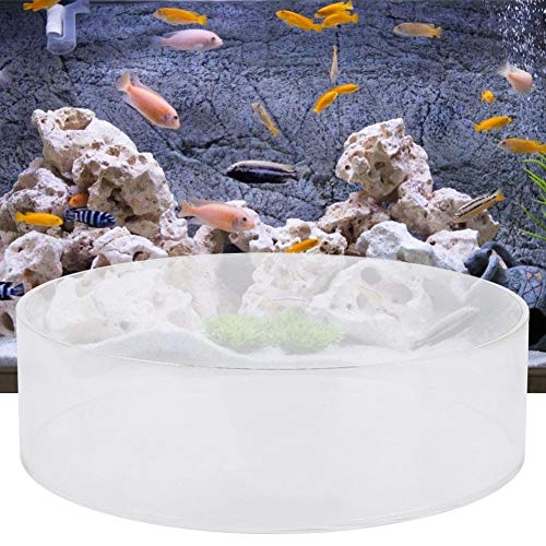 Hffheer Coral Viewer Fish Acrylic Coral Observe Lense Aquarium Fish Photograph Cylinder Magnifier For Viewing Coral And Taking P