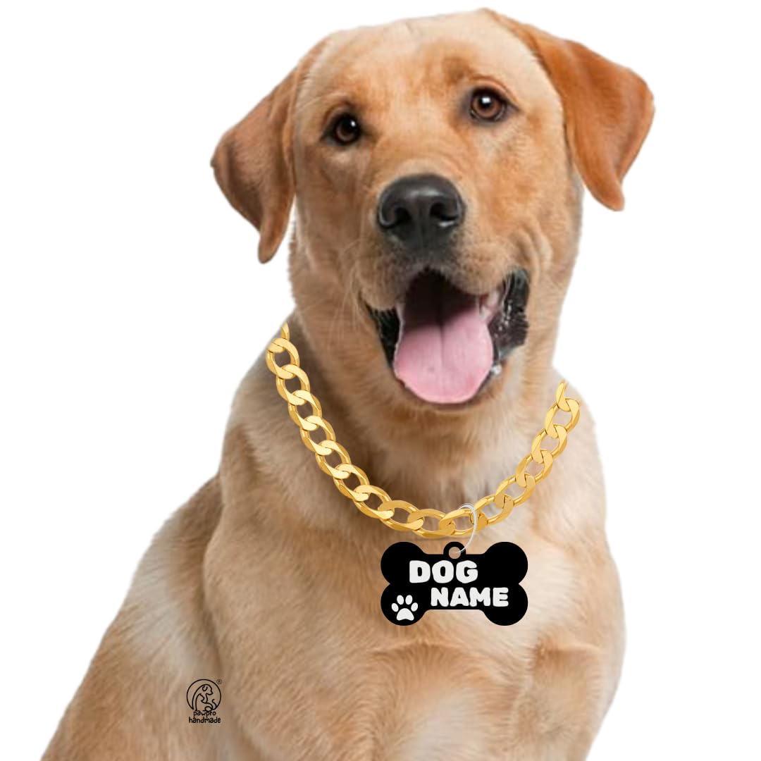 Pawpro Handmade Personalized Gold Chain Collar With Customizable Bone Shape Pet Id Tag For Large Medium Dog And Small Puppy (Sma