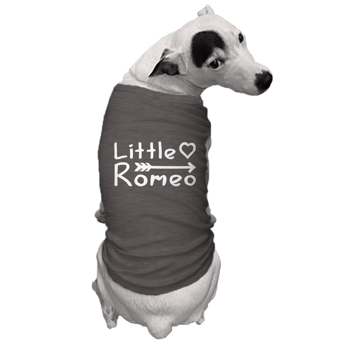 Little Romeo - Stud Handsome Cute Juliet Love Dog Shirt (Dark Gray, 2X-Large)