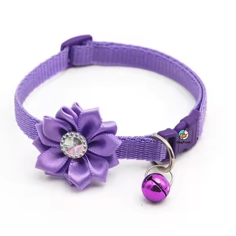 Dog Trust Cute Dog Collar Belt With Bell And Flower Pattern Tie, Stylish And Safe Design For Puppies And Small Dogs, Perfect And