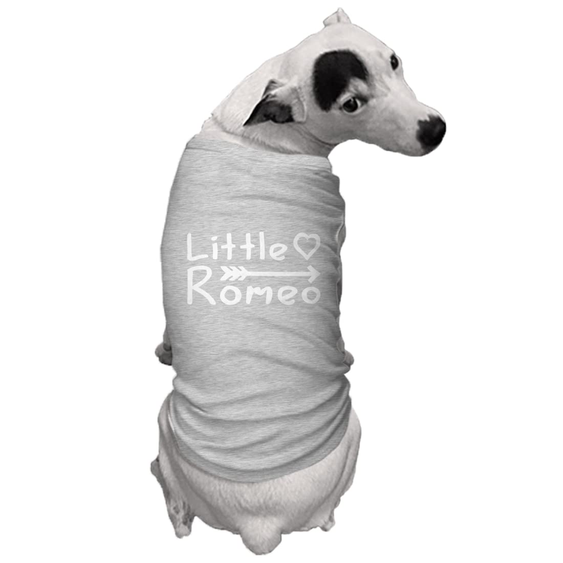 Little Romeo - Stud Handsome Cute Juliet Love Dog Shirt (Light Gray, Medium)