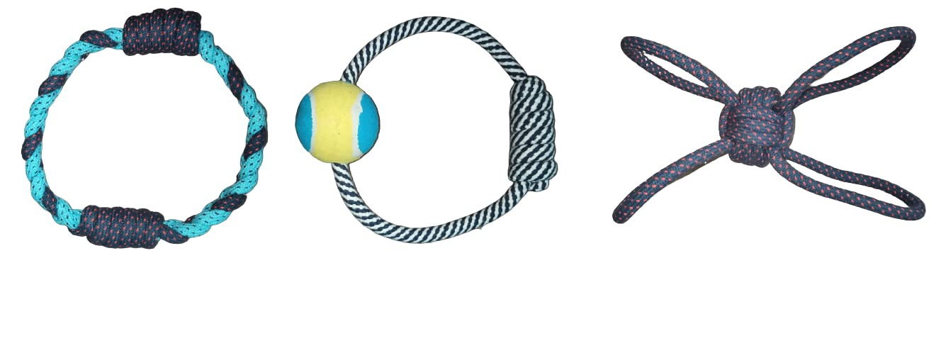 Dog Trust Combo Of Ring Rope+Crazy Ball+ Ring With Cosco Ball For Dog & Puppies Multicolor (Pack Of 3)