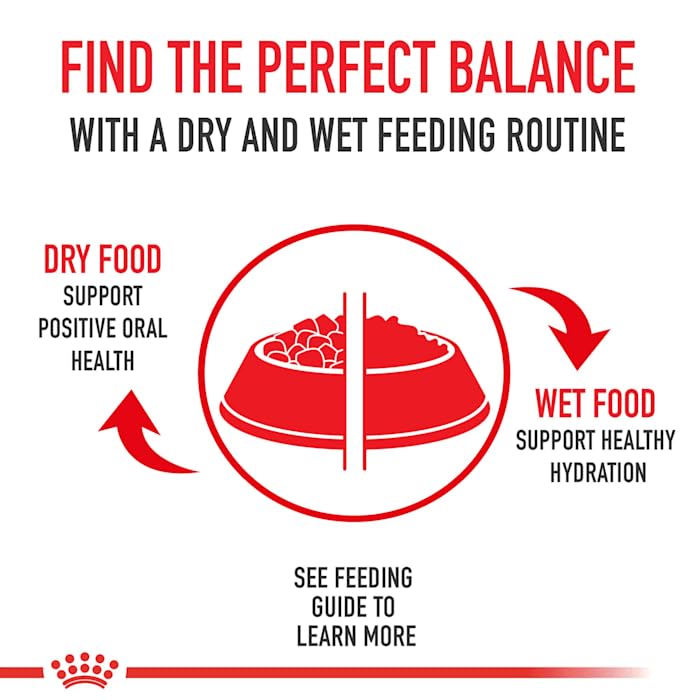 Royal Canin Small Digestive Care Dry Dog Food, 3.5 lb bag