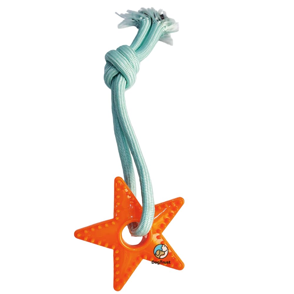 Psk Pet Mart Pet Starfish Squeaky Toy For Puppies | Durable Chew Toy With Cotton Rope Arms | TeethingFriendly Interactive Plush