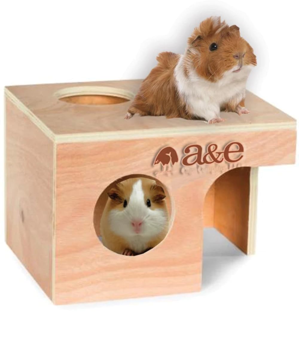 A&E Cage Co. Animal Hut for Guinea Pig - Large, Multi-Colored, Wooden, Model 52400901