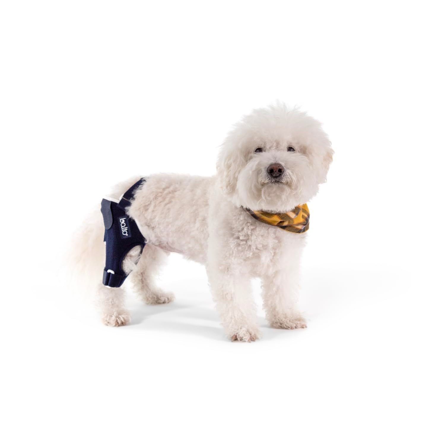 Balto Jump CCL Brace - Dog Knee Brace with Aluminum Splints - Pre/Post Surgery Support Helps Prevent New Injuries - Right Leg, M