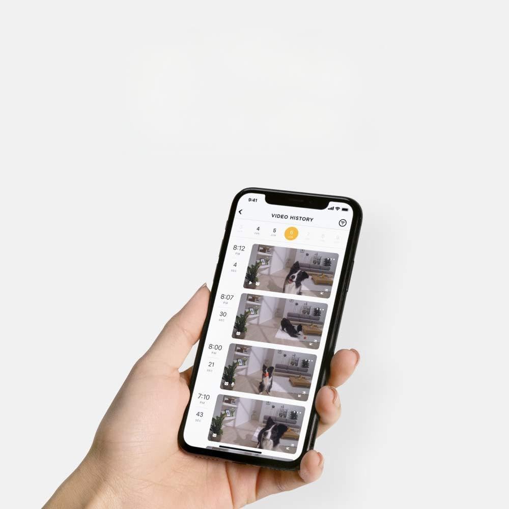 Petcube Smart Pet Camera 1Year Subscription Plan: Video History, Smart Alerts, & Pet Care Perks