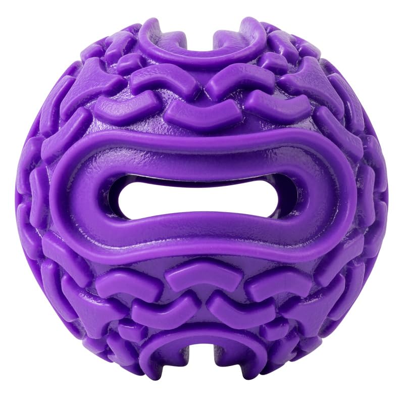 KONG Squeezz Flex Ball – Interactive Dog Toy, Medium/Large, Purple, Thermoplastic Rubber, Holds Treats & Chews, Model PCF21
