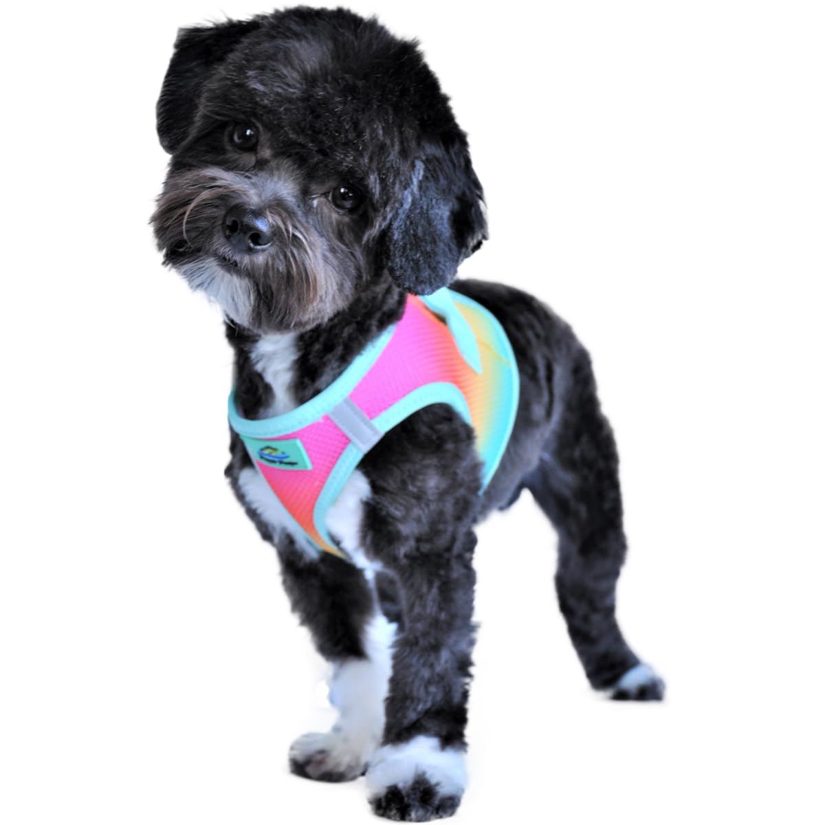 Doggie Design No Choke Dog Harness - Simple Step-In And Go Dog Vest For Small, Medium, And Large Breeds - Breathable Mesh Polyester Pet Harness - Beach Party - S