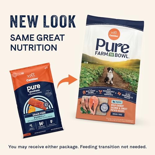 Canidae Pure Grain Free Dry Puppy Food, Real Salmon & Sweet Potato, 4 lbs.
