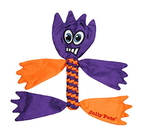 Jolly Pets Flathead Tug/Squeak Toy, Large