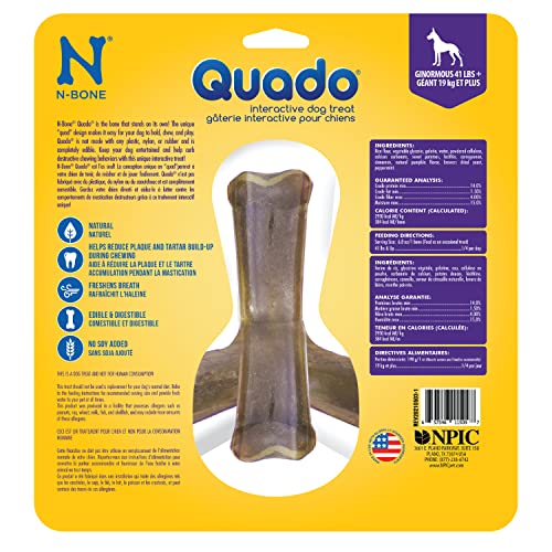 N-Bone Nbone 115097 Quado in Pumpkin, Large (575174)