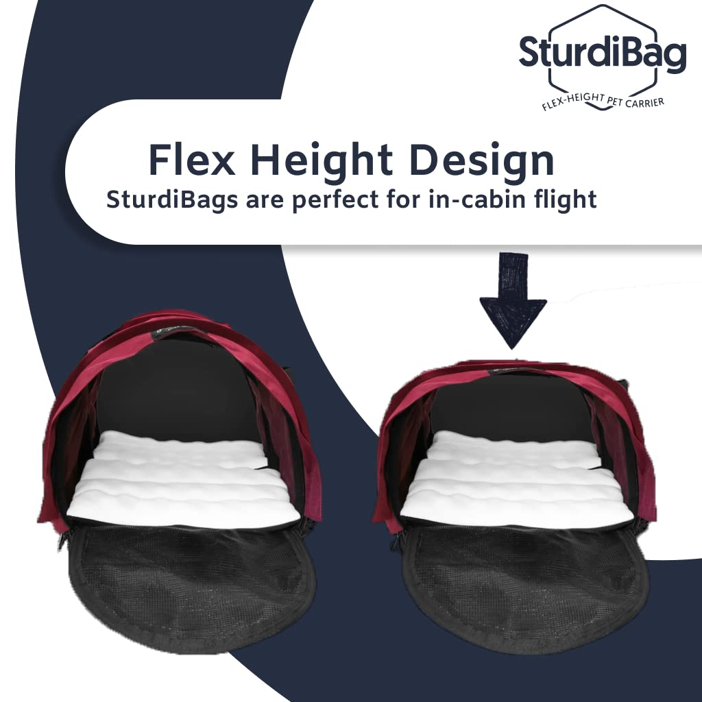 SturdiBag XL Pet Travel Carrier: Flexible Height for Cat and Dog Soft Sided with Safety Clips and Seatbelt Straps | Earthy TAN,