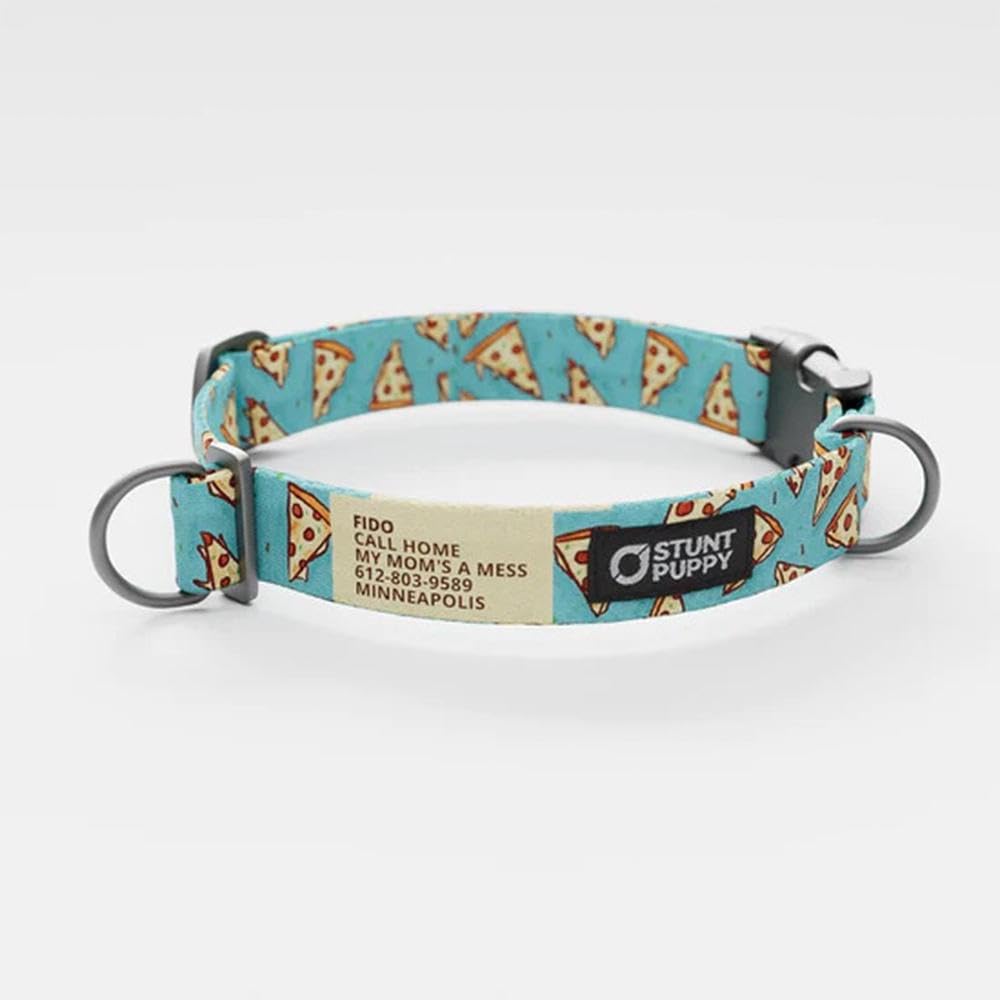 Jill Kittock Pizza Everyday Collar Large