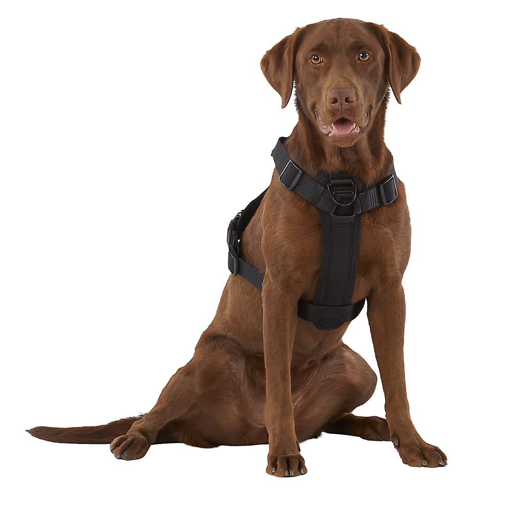 Kong Ultra Durable Waste Bag Harness (Large, Black)