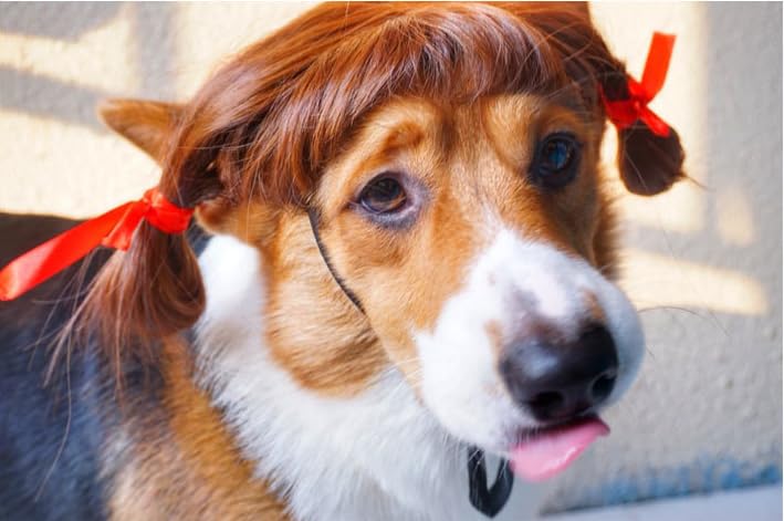 Dog Wig Pet Costumes, Cat Costume Synthetic Accessories Small Dog Headwear For Halloween Christmas Eve Festival Party Decor, Head Wear Apparel Toy (C)