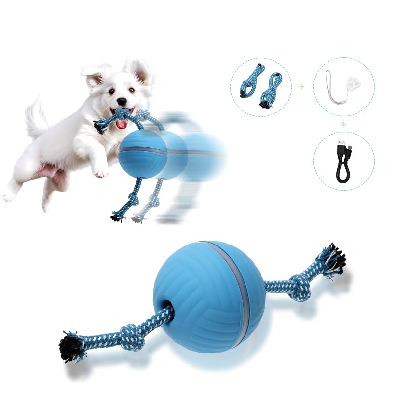 Petmolico Electric Dog Balls - Motion Activate Rolling Ball Toys For Puppy - Interactive Dog Toys For Boredom(Blue,Remote Contro
