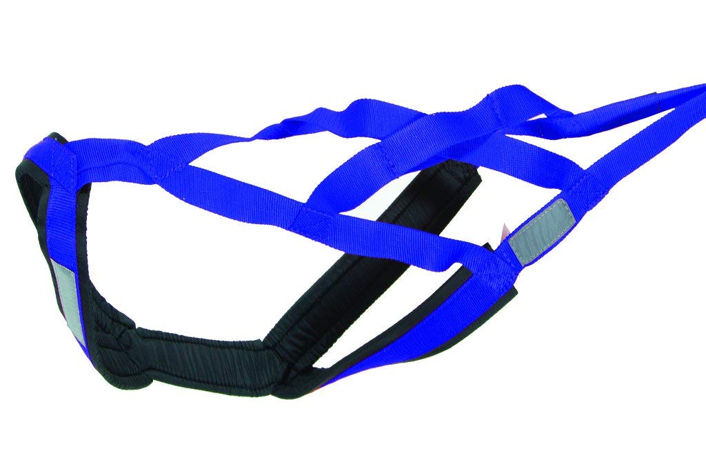 Neewa X-Back Racing Harness - Medium, Blue | High-Performance, Reflective Gear For Slim, Long-Bodied Dogs | Suitable For Canicross, Skijoring | Neck 14In, Chest 28In, Back 23In