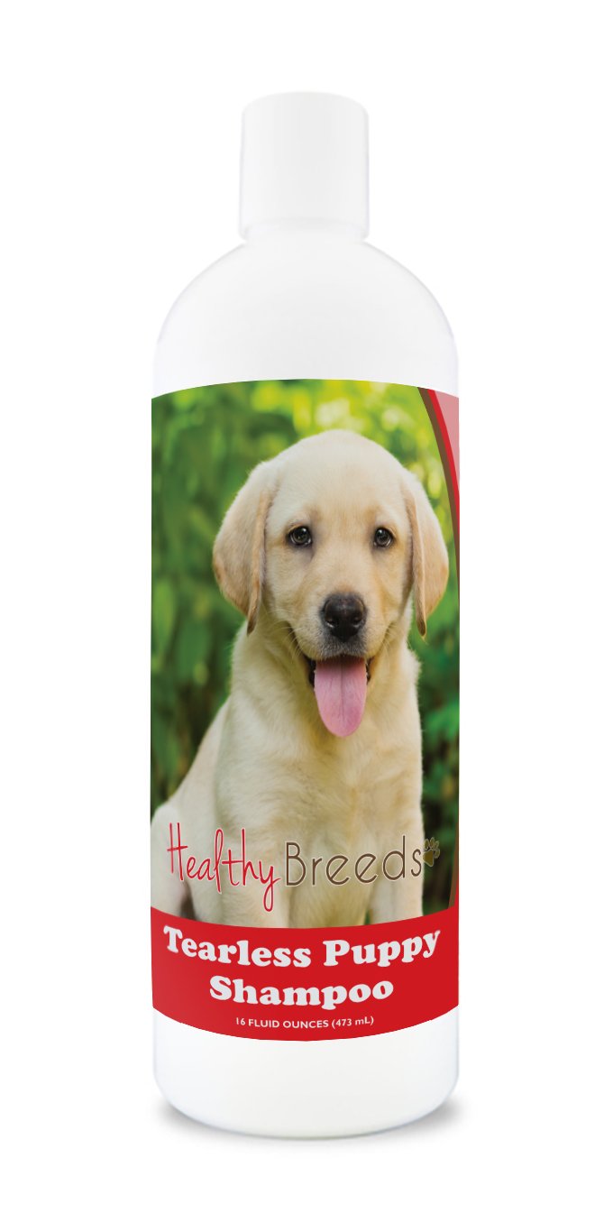 Healthy Breeds Havanese Tearless Puppy Dog Shampoo 16 Oz