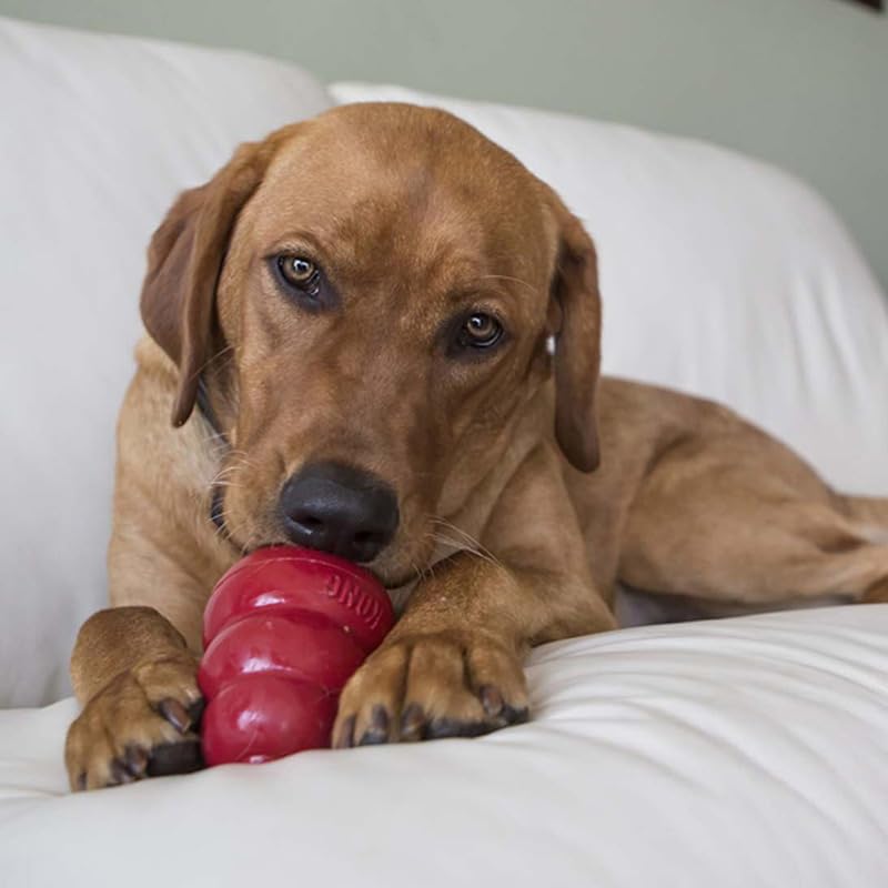 KONG Classic Dog Toy Small Peanut Butter Snacks Dog Treats 7 oz - Durable Chew Toy & Natural Treats Combo Bundle for Small Dogs