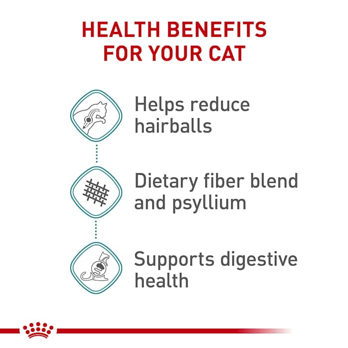Royal Canin Feline Care Nutrition Hairball Care Adult Dry Cat Food, 3 lb Bag
