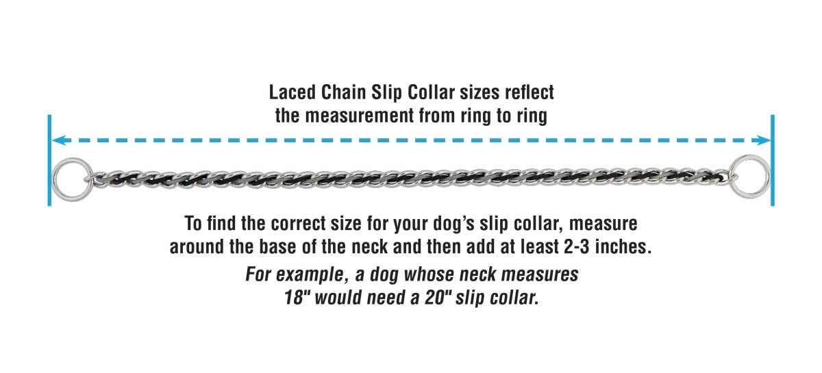 Terrain D.O.G. Laced Chain Slip Collar, 24-Inch X 3.9 Mm, Lime/Navy