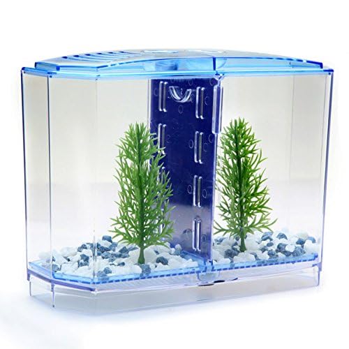 Penn-Plax Twin Betta Bow-Front Kit For Aquarium Blue, Green, Tank Is 7.5' Across The Front, 6' Across The Back