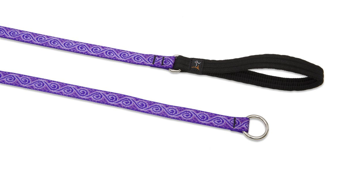 LupinePet Originals 1'' Jelly Roll 6-Foot Slip Lead/Leash for Medium and Larger Dogs