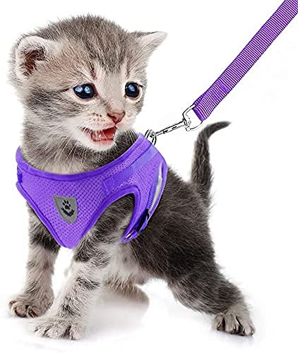 Feimax No Pull Small Cat Harness And Leash Set, Soft Mesh Puppy Reflective Adjustable Harnesses For Walking Escape Proof Cat Kit