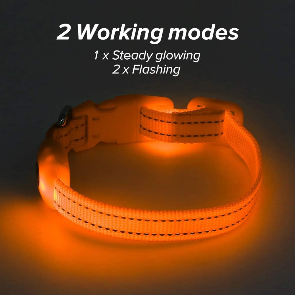 Bseen Light Up Dog Collar, Reflective Led Dog Collar Rechargeable Glowing Puppy Collar For Puppies & Cats,Safety Dog Lights For