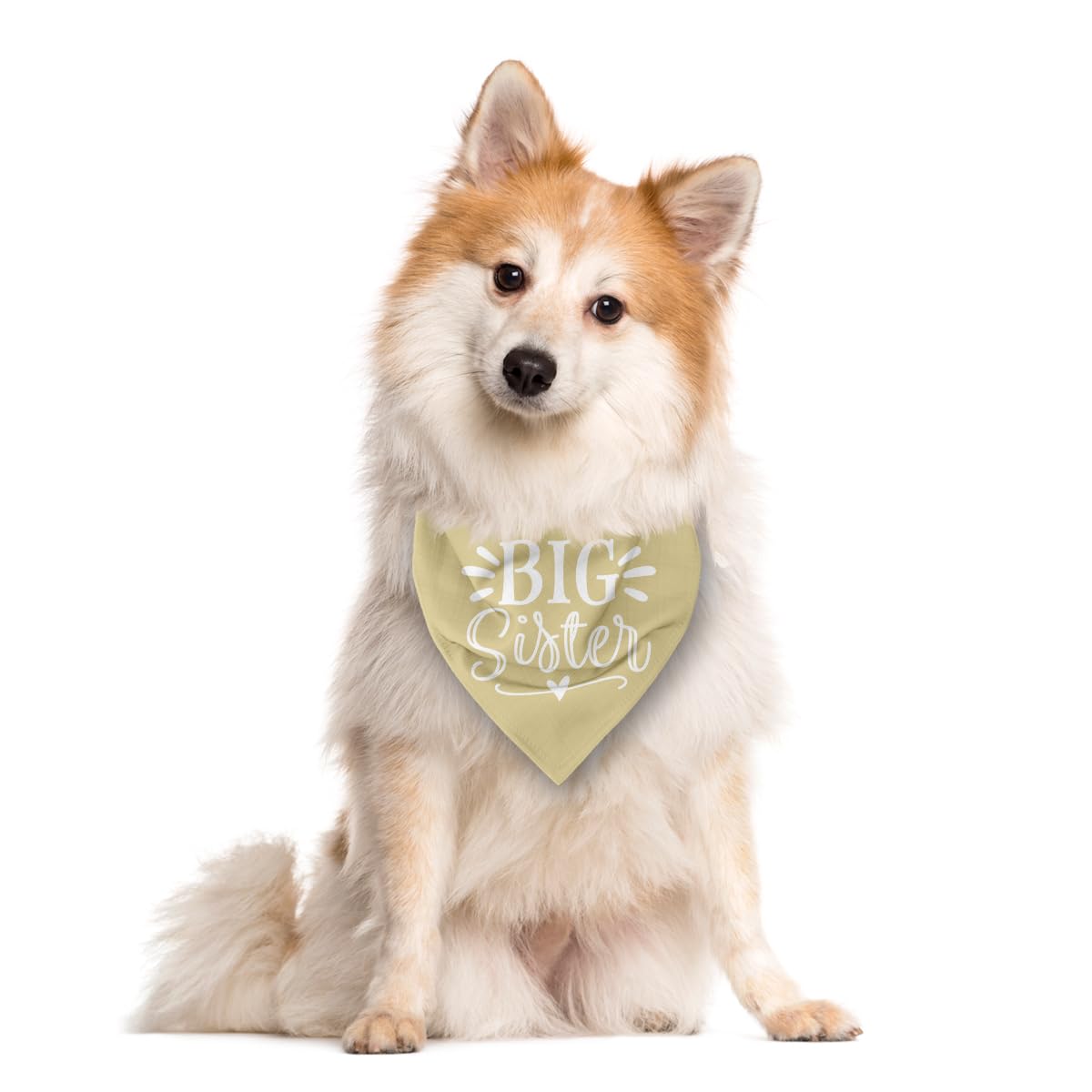 Big Sister Light Yellow Dog Triangle Bandana - Large Dog Scarf Accessory For Baby Announcement - Pet Scarf (L)