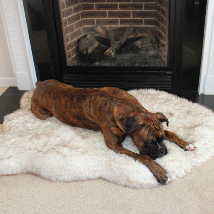 PupRug Orthopedic Dog Bed for Dogs with Soft Faux Fur and Memory Foam for Joint Pain Relief, Machine Washable Waterproof Couch B