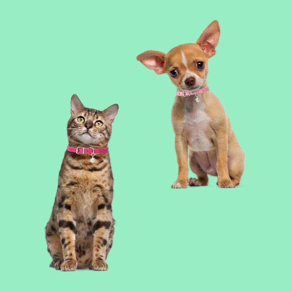Black Xxs Dog Collar With Bell,Cat Collar With Bell,Soft Pu Leather Extra Small Dog Collar Adjustable Buckle For Extra Small Med