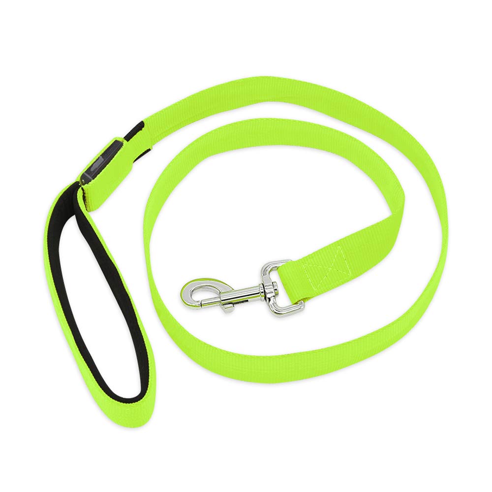 Illumifun Led Dog Leash, Usb Rechargeable Pet Leash Glow In The Dark, 47.2Inch Nylon Light Dog Leash For Your Dog Walking At Night (Green ?)