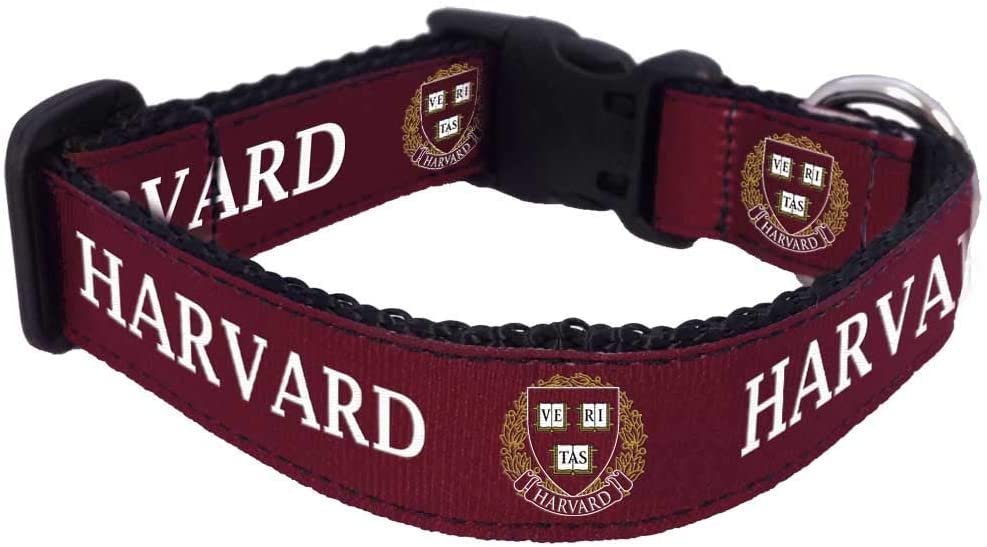 College Dog Collar (Medium, Harvard)