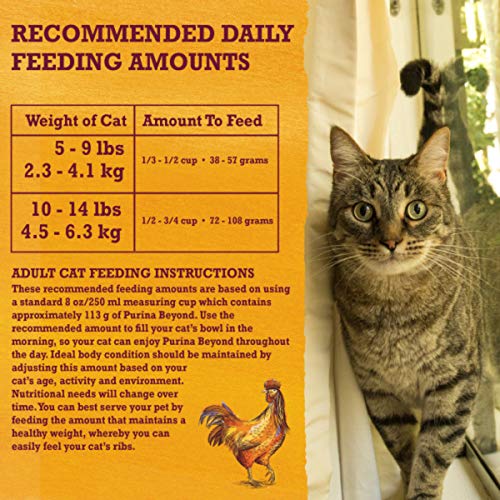 Purina Beyond Grain Free White Meat Chicken and Egg Recipe Natural Cat Food High Protein Cat Food Dry Formula - 5 lb. Bag