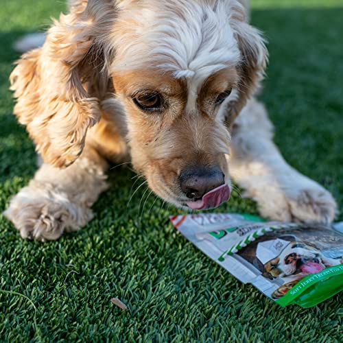 Loving Pets Toothsticks - Fresh Mint Dental Sticks for Dogs (for Medium/Large Dogs 20-100+ lbs)