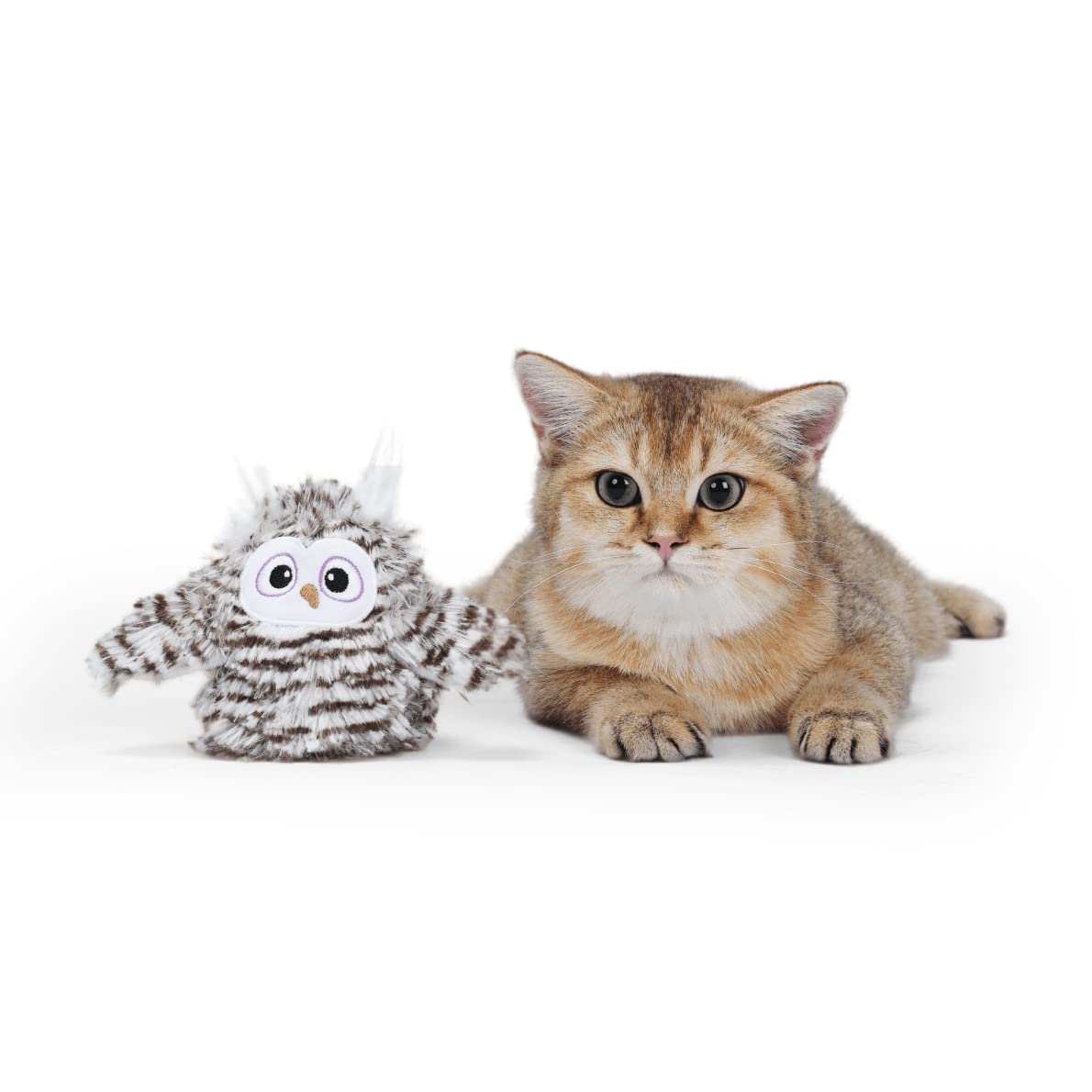 Barkbutler X Fofos Flapping Owl Interactive Cat Toy  Cat Toys Interactive, Flappy Bird Cat Toy With Catnip  Grey