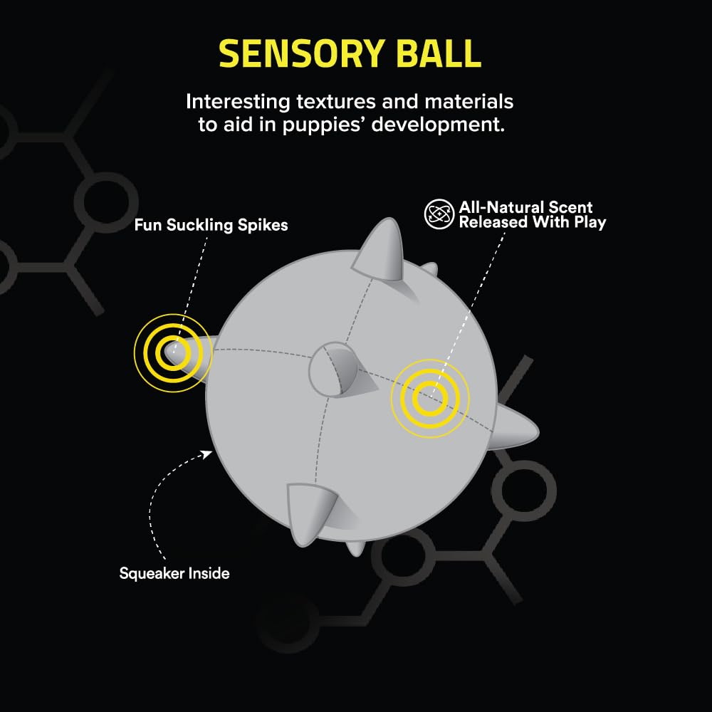 Playology Puppy Sensory Ball Toy - Large Stuffed Chew with Squeaker, All-Natural Chicken Scent for Puppies 8-16 Weeks